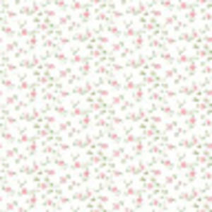 Meet your Posher, Lila mae